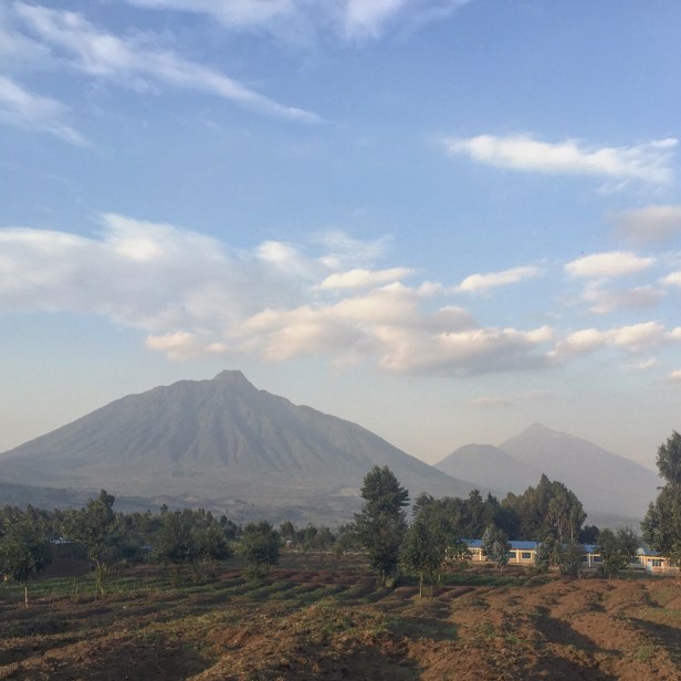 09AF534E-FD8C-4C51-8BB7-E02E349AE41B