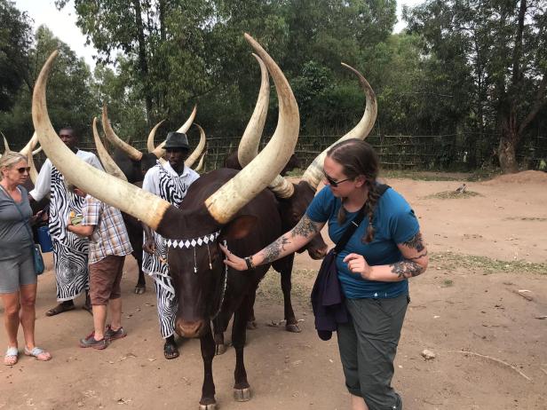 3c342e2e-bb8c-4b6d-a824-023cec16d356