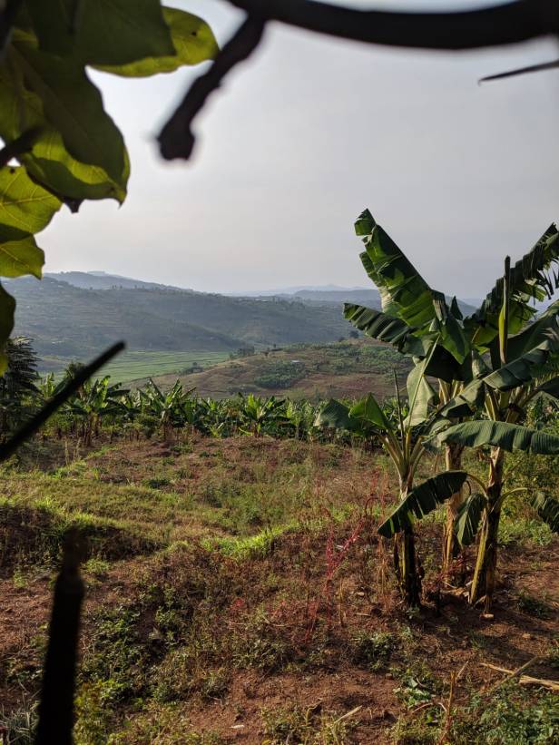 7e6b5d8a-efee-494d-b93c-2888b16662fa