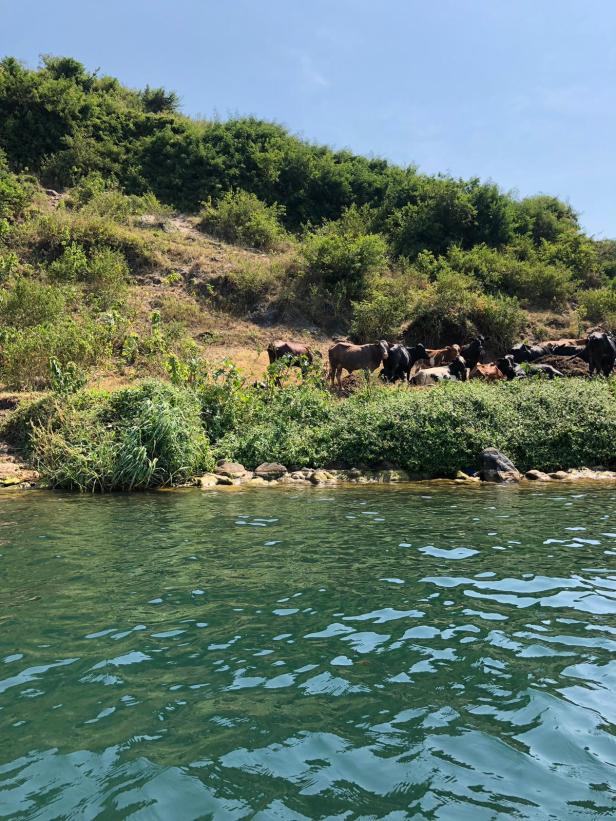 f2b3a1be-1f68-4ee0-91c7-bb112a67f681