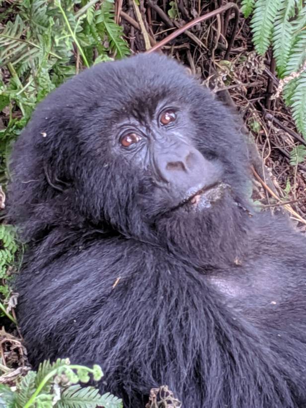 f898c46d-8214-4c99-9b4f-6c29db6a7443