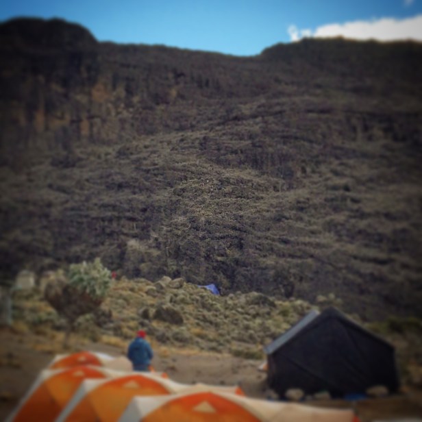 FBD10652-D969-4F8E-8DD6-9421149DD090